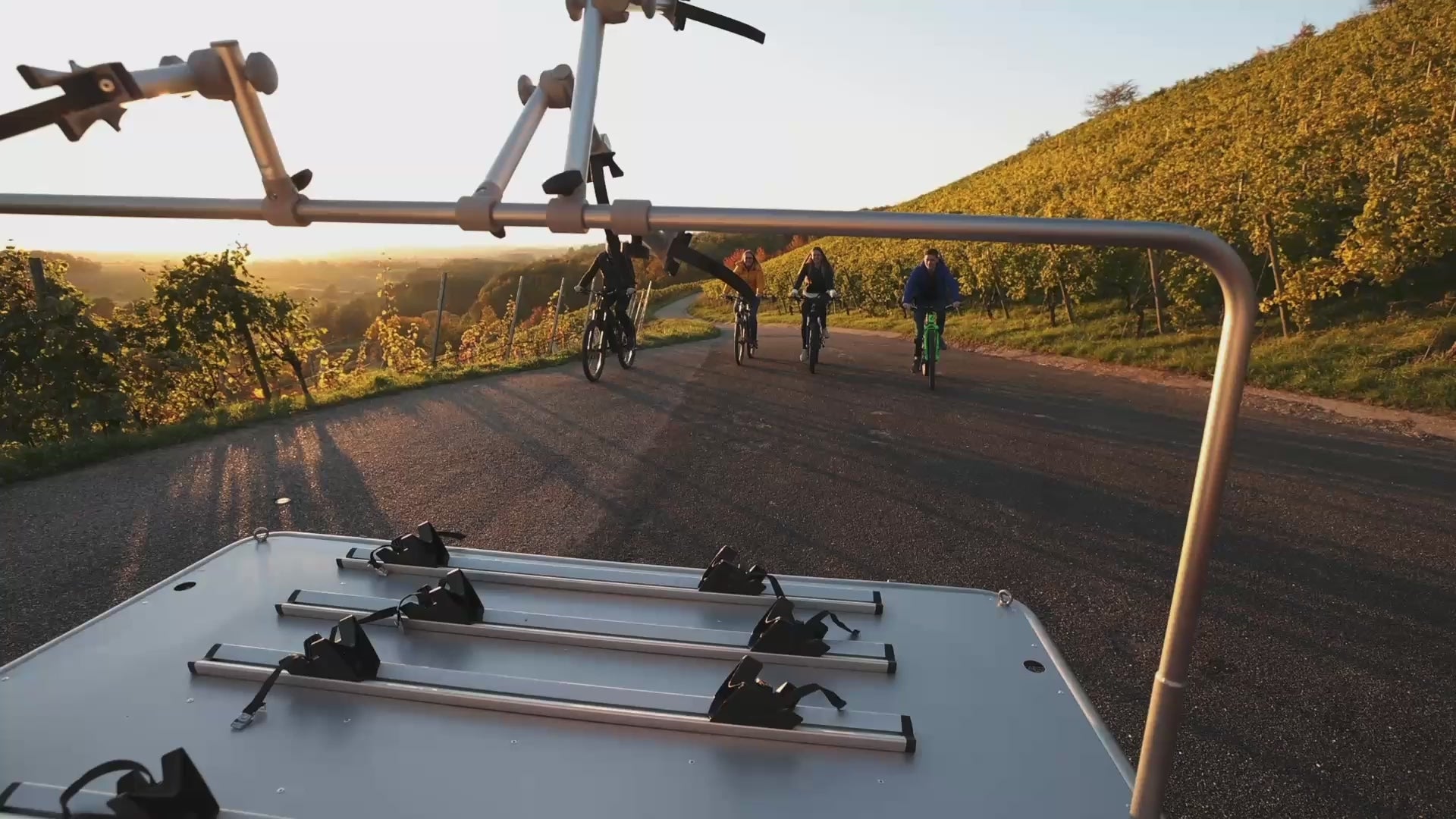 TREILER® 350/2 - The bicycle trailer